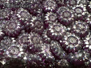 【Transela - bloom shards - 】