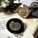 アンモナイト 25mm◆ヘッドのみ◆