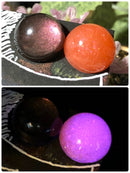 【限定セット】豊穣の舞SET【数量限定】