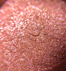 【限定セット】おとぎの国SET【数量限定】