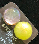 【限定セット】Sweet Dolphin SET【数量限定】