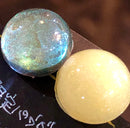 【限定セット】AutumnBunnySET【数量限定】