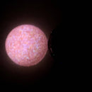 【限定セット】最果に咲く花SET【数量限定】