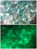 【限定セット】11月限定SET【数量限定】