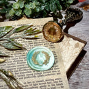 リーフ 25ｍｍ◆ヘッドのみ◆