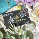 【限定パウダ－】春光芒【限定パウダ－】