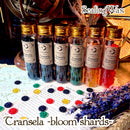 【Transela - bloom shards - 】