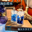 海色標本 Set　【数量限定】