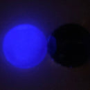 【限定セット】にゃんこパークSET【数量限定】