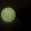 【2023アニバーサリー限定】限定パウダーガチャ【数量限定】