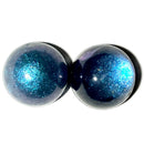 【限定セット】ミニテラリウムSET【数量限定】