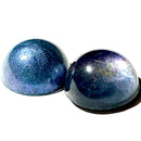 【限定セット】ミニテラリウムSET【数量限定】