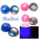 【数量限定】限定パウダーガチャ＜04＞2024