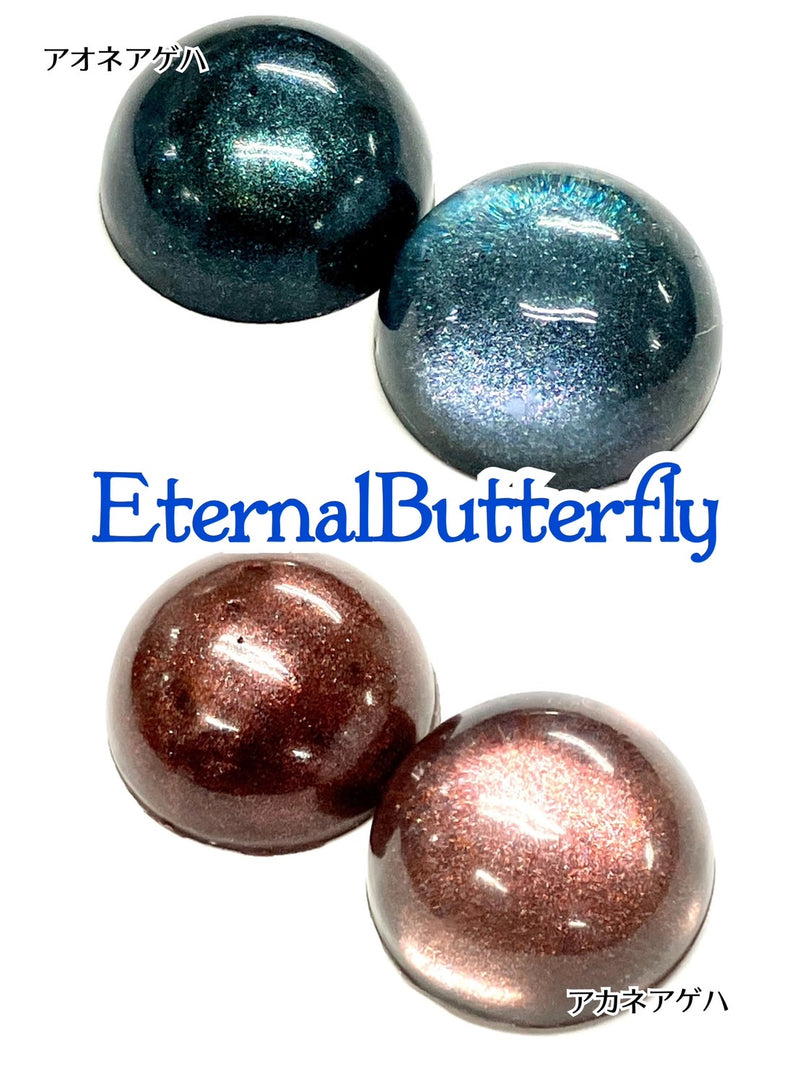 【限定パウダ－】EternalButterfly【数量限定】