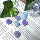 Irisの聖花 限定MIXカラー【数量限定】