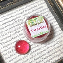 5//17 MD限定パウダー　Carnation【数量限定】