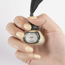 【et seq.】青い鳥 L'Oiseau bleu【宅急便のみ】