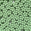 幻想SAKURA【桜型WAX】ボトル入り