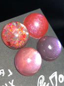 リコリス・ラジアータ【数量限定】