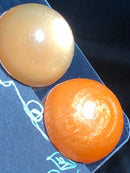 魔法仕掛けのハロウィーンSET【数量限定】