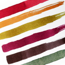 AUTUMN IN ONTARIO（38mlインク）【宅急便のみ】