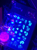 ガーベラのセゾン【数量限定】