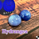 【ネットショップ限定】半透明ワックスSET【数量限定】