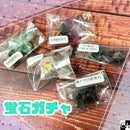 【数量限定】蛍石ガチャ　＜第二弾＞【ネットショップ限定】