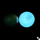 【ネットショップ限定】Atlantic SET【数量限定】