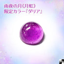 【数量限定】雨夜の月＜月虹＞【ダリア】(予約販売）