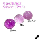 【数量限定】雨夜の月＜月虹＞【ダリア】(予約販売）