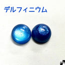 【限定パウダー】デルフィニウム【数量限定】