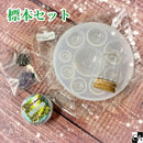 【ネットショップ限定】標本セット【数量限定】※3個以上で宅急便です。