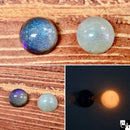 【ネットショップ限定】クリスマスSET【数量限定】