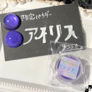 アイリス【数量限定】