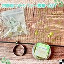 【ネットショップ限定】四季巡りのカフェ　～雪華～　SET【数量限定】