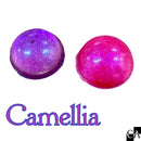 【ネットショップ限定】 山茶花の花集めSET【数量限定】