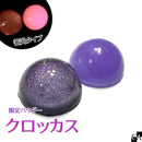 【ネットショップ限定蓄光パウダー】クロッカス【数量限定】