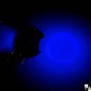 【ネットショップ限定】 春待ち夜空SET【数量限定】