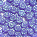 Irisの聖花【花型偏光パールWAX】ボトル入り