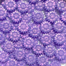 Irisの聖花【花型偏光パールWAX】ボトル入り