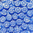 Irisの聖花【花型偏光パールWAX】ボトル入り