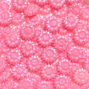 Irisの聖花【花型偏光パールWAX】ボトル入り