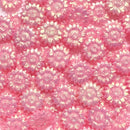 Irisの聖花【花型偏光パールWAX】ボトル入り