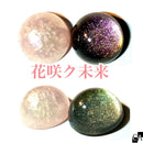 【ネットショップ限定】花咲ク未来SET【数量限定】