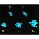 闇輝火の欠片-カガリビノカケラ-【蓄光】