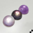 【限定カラー】Alchemist　黄昏＆山の息吹【数量限定】