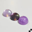 【限定カラー】Alchemist　黄昏＆山の息吹【数量限定】