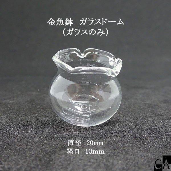 金魚鉢 ガラスドーム（ガラスのみ）
