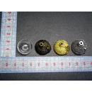 どんぐり ガラスドーム [全3色]